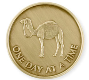 Camel Medallion - Sober Not Mature Shop